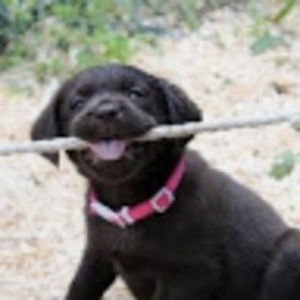 Meet your Posher, Isabella